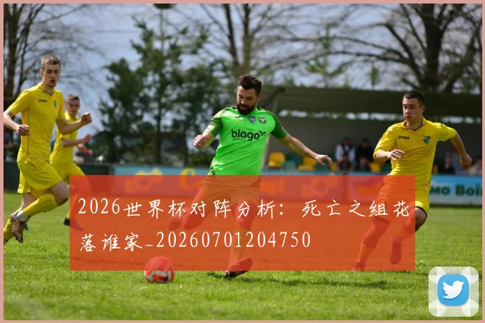 2026世界杯对阵分析：死亡之组花落谁家_20260701204750